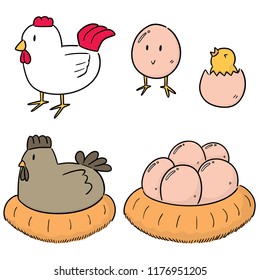 vector set of chicken and egg