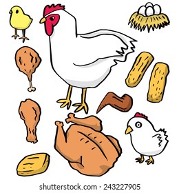 vector set of chicken and egg