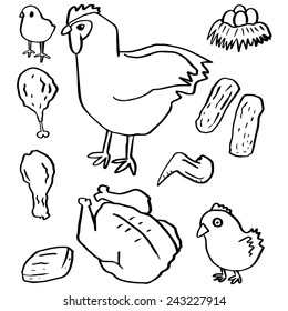 vector set of chicken and egg