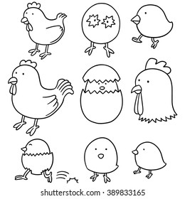 vector set of chicken and egg