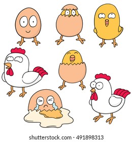 vector set of chicken and egg