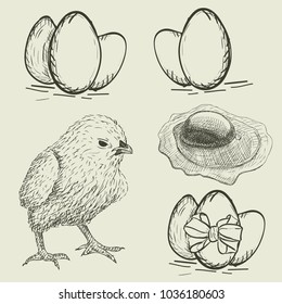 vector set of chicken and eggs. Sketch