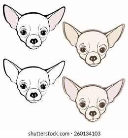 Vector set of  chihuahua's face. Hand-drawn vector illustration. Sketch, four variants.