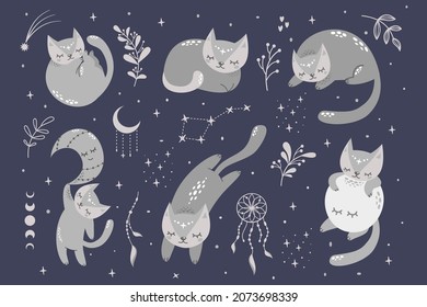Vector set for childrens illustration  Sleeping cute cats  moon  stars  dream catcher  twigs  berries  Cute animals for printing baby clothes 