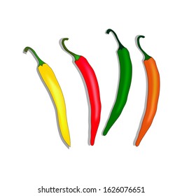 Vector set of chili peppers. The product is a vegetable hot red, yellow, orange and green chili pepper. Illustration of hot chilli pepper food on a white background.