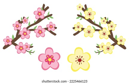 Vector set of Chinese New Year flower blossom clipart. Simple cute pink and yellow flowers peach blossom and Ochna integerrima flat vector design illustration cartoon. Asian Lunar New Year concept