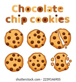 vector set of chocolate chip whole, broken and bitten cookies isolated on white background. symbols of homemade biscuit choc cookie with a bite and crumbs. top view of flat cookie clipart collection