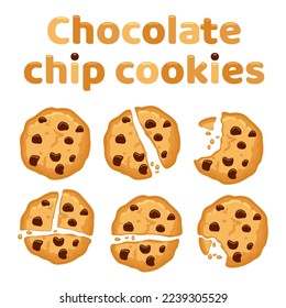 vector set of chocolate chip whole, broken and bitten cookies isolated on white background. symbols of homemade biscuit choc cookie with a bite and crumbs. top view of flat cookie clipart collection