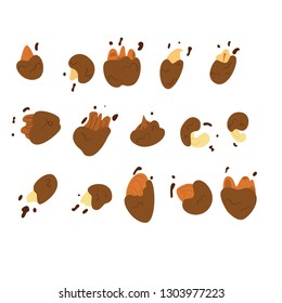 Vector set of chocolate covered/dipped nut assortment