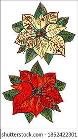 vector set christmas background with poinsettia image for new year design.  greeting card, christmas star