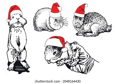 Vector set of Christmas bunnies in Santa Claus red hats on white background, new year element,zoology