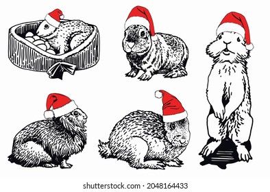 Vector set of Christmas bunnies in Santa Claus red hats on white background, new year element,zoology