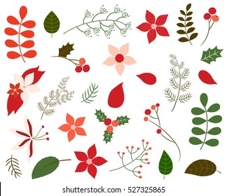 Vector set of Christmas foliage in green and red colors - leaves, winter flowers, floral elements, poinsettia in flat style for greeting cards and invitations