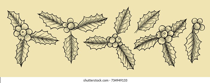 Vector set with Christmas mistletoe. Design elements isolated on beige background. Engraving style.