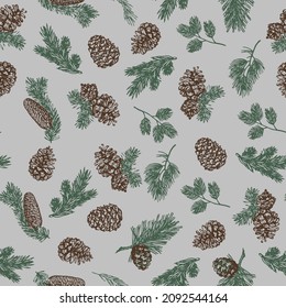 Vector set with Christmas plants. Botanical illustration with grey background. Branch of spruce, pine, boxwood, cones. Isolated design elements .Collection set of pine cone and leaves