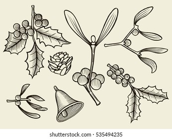 Vector set with Christmas plants. Botanical illustration. Branch of holly, spruce, pine. Design elements isolated on beige background. Engraving style.