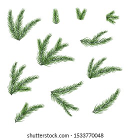 Vector set of christmas tree branches. Set of christmas elements for your design.