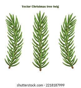 Vector set of Christmas tree branches on a white background. A design element for your use