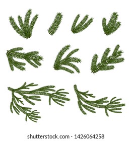 vector set of christmas tree brunches
