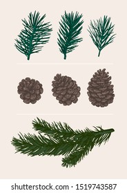 Vector set of Christmas tree twigs and cones.