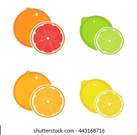 vector set of citrus fruits