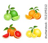 Vector set of citrus fruits (oranges, lemons, grapefruits and limes) isolated on a white background.