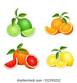 Vector set of citrus fruits (oranges, lemons, grapefruits and limes) isolated on a white background.