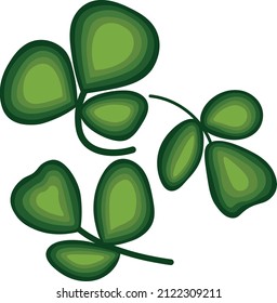 Vector set of clover leaves. Three leaf green clover. Leaves of different sizes and shapes on a white background. 