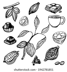 Vector set of cocoa beans, fresh and dried, and products made from it. Chocolate bars, chocolates, coffee