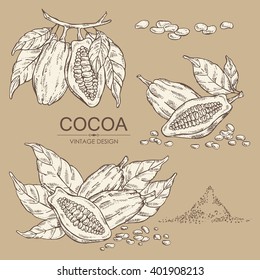 Vector set: cocoa , hand drawn