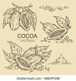 Vector set: cocoa , hand drawn