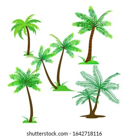 vector set of coconut and coconut trees with green leaves - vector