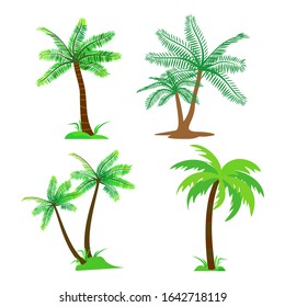 conjunto vectorial de cocoteros y cocoteros con hojas verdes - vectorial