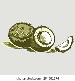 Vector set of coconuts