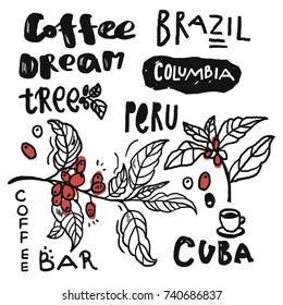 Vector set of coffee. Hand draw lettering and pictures