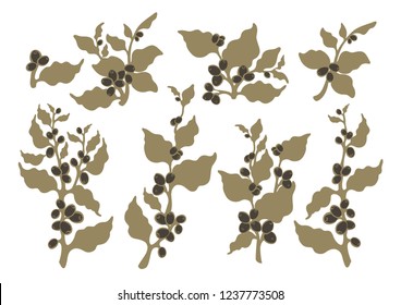 Vector set Coffee tree, branch, leaves, bean, berry, grain Botanical nature art isolate Aroma tropical drink Organic plants for vegetarian Sketch illustration isolated on white background Simple print