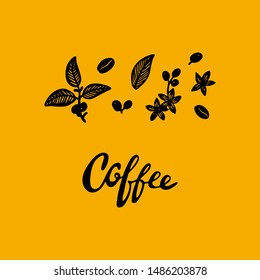 Vector set of coffee tree branches with flower, leaves and beans. Botanical doodle, sketch. Shape art design. Coffee hand written lettering.