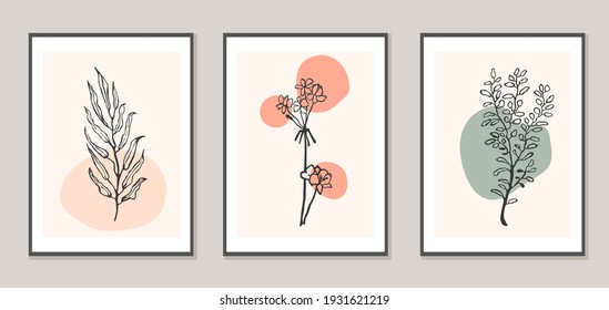 Conjunto vectorial de póster moderno de collage con formas abstractas e ilustración de planta. Estilo escandinavo. Para afiches, papel textil, papel envolvente, plantilla de tarjeta de saludo, publicación en redes sociales