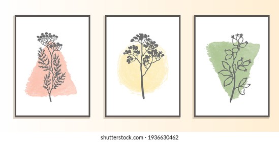 Conjunto vectorial de póster moderno de collage con formas abstractas e ilustración de planta. Estilo escandinavo. Para afiches, papel textil, papel envolvente, plantilla de tarjeta de saludo, publicación en redes sociales
