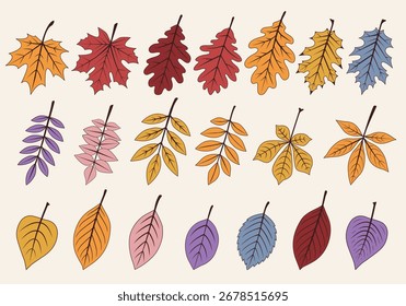 Conjunto de Vector colección de hojas de otoño de colores aislados Elementos botánicos naturales con cálida paleta de otoño, para proyectos Invitaciones Tarjetas de felicitación Pósteres Textiles Patrones Decoraciones Eco Estacional
