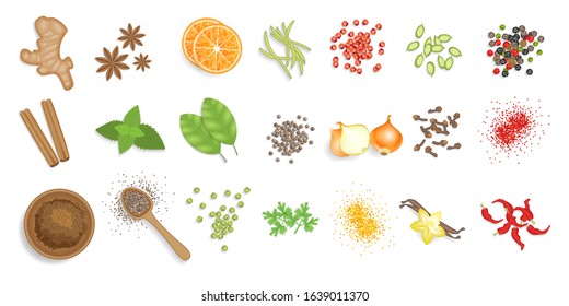 Vector set. Collection of culinary spices. Top view. Spices scattered isolated on a white background. View from above.