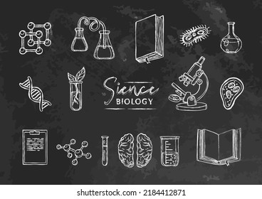 Vector set collection with elements of Biology science, chalk style on black board. Chalk doodles on textured chalkboard. Back to school and college supples. Microscope and flasks. Chalk texture 