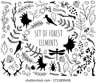 Vector Set collection forest elements - herbs, leaf, flowers, branches. Black and white Illustration for coloring page.
