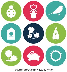 Vector set collection icons of color springs symbols