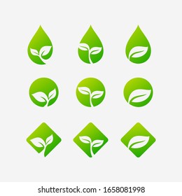 vector set collection leaves icon logo design template