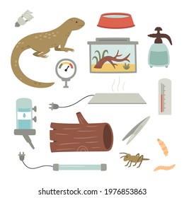 vector set, collection of lizard home care items, illustration for pet shops