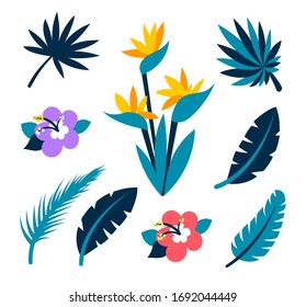 Colección vectorial de hojas y flores tropicales. Colección tropical para la playa, vacaciones de verano, diseño hawaiano de fiesta. Vector aisló elementos en el fondo blanco.