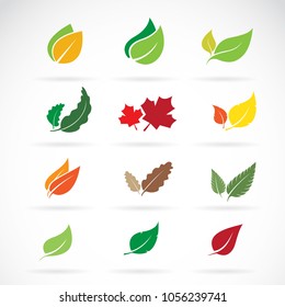 Vector set of color autumn fallen leaves on white background. Easy editable layered vector illustration.