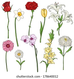 Conjunto de vectores de color Flores de dibujos animados