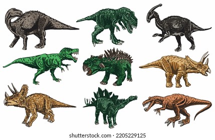 Vector set of color dinosaurs isolated on white background, dino collection